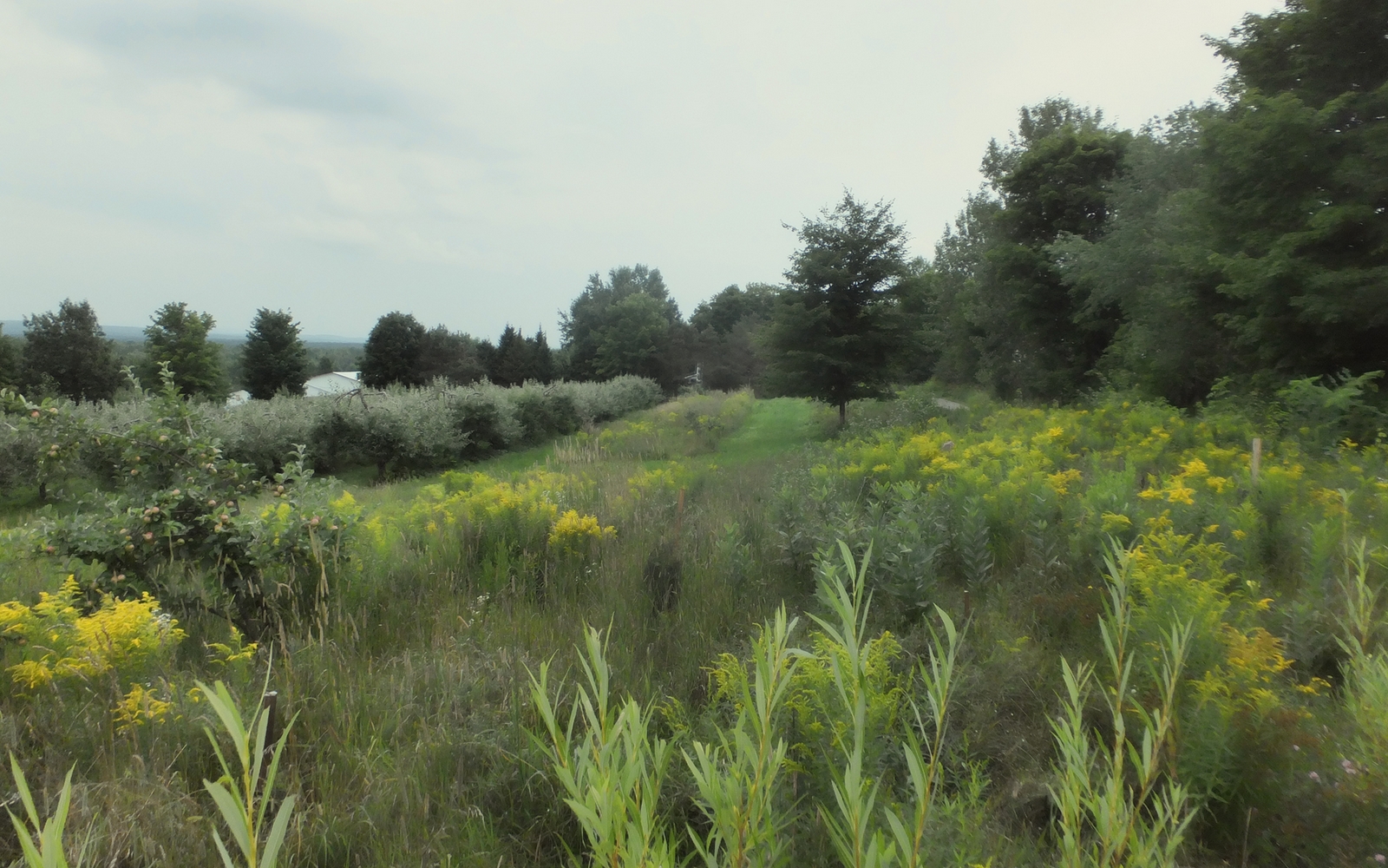 Lieu de biodiversité
